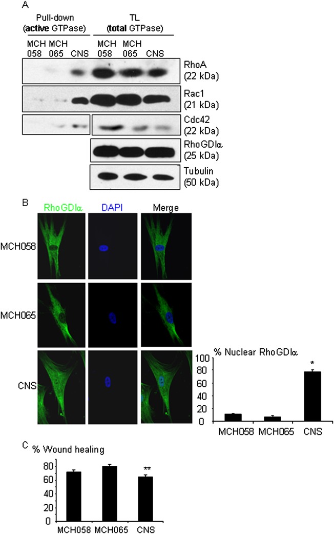 Figure 5