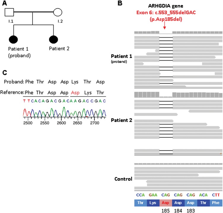 Figure 2