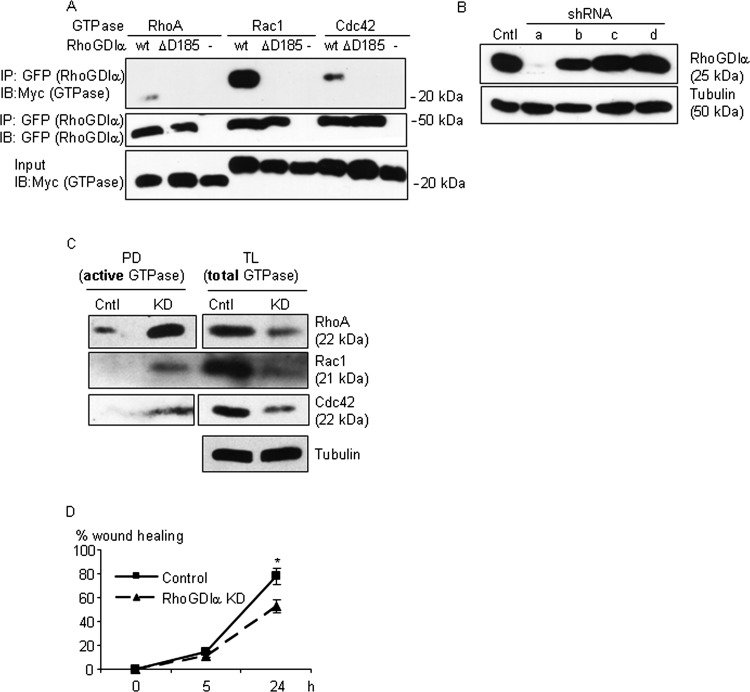 Figure 4