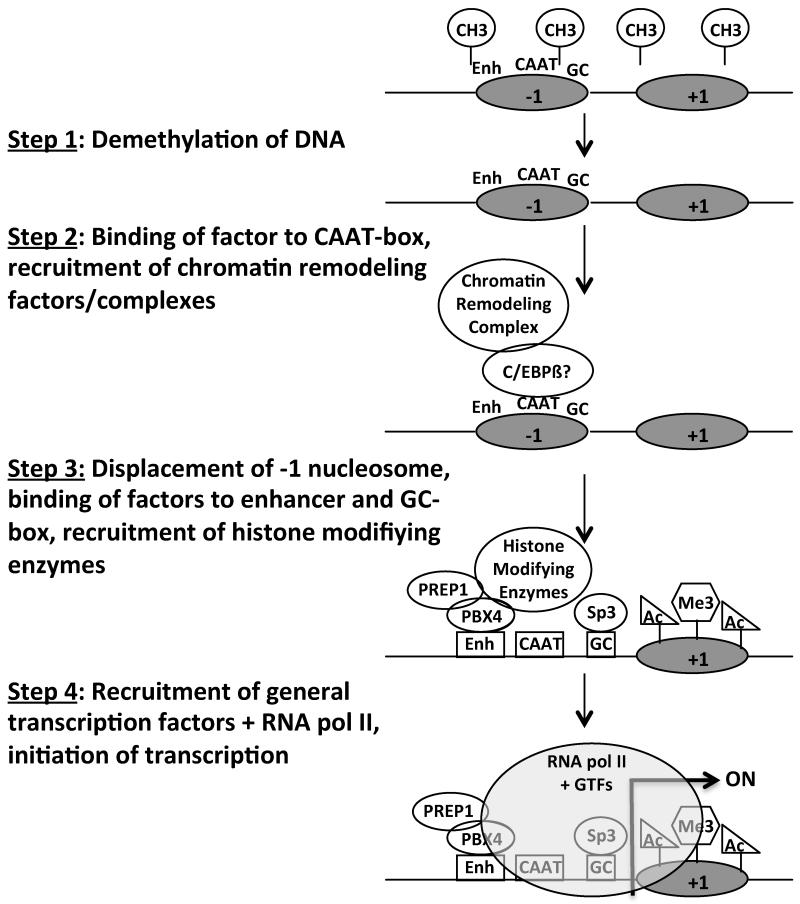 FIGURE 6