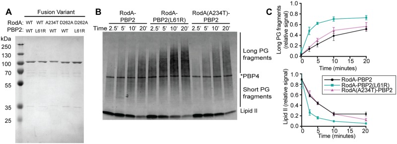 Fig 5