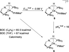 Scheme 5