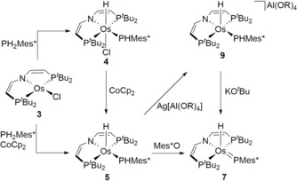 Scheme 3