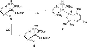 Scheme 4