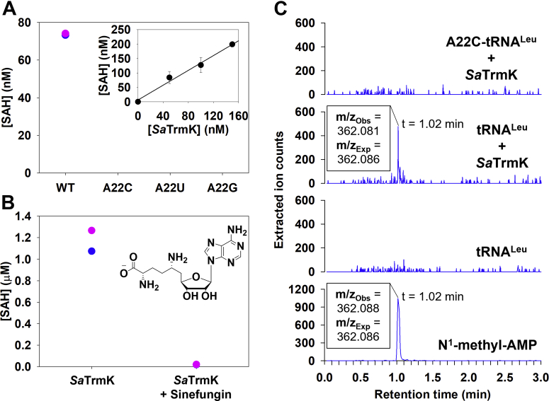 Figure 6