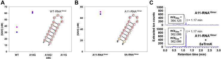 Figure 7