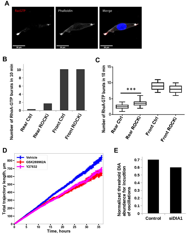 Figure 5—figure supplement 1.