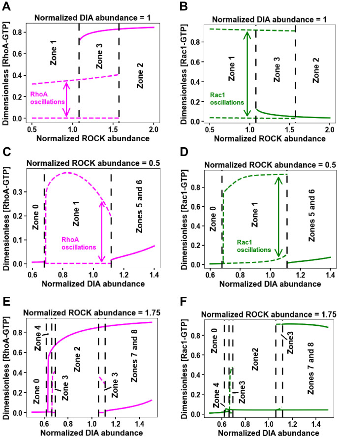 Figure 2—figure supplement 3.