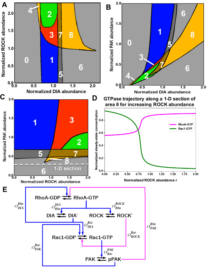 Figure 2—figure supplement 1.