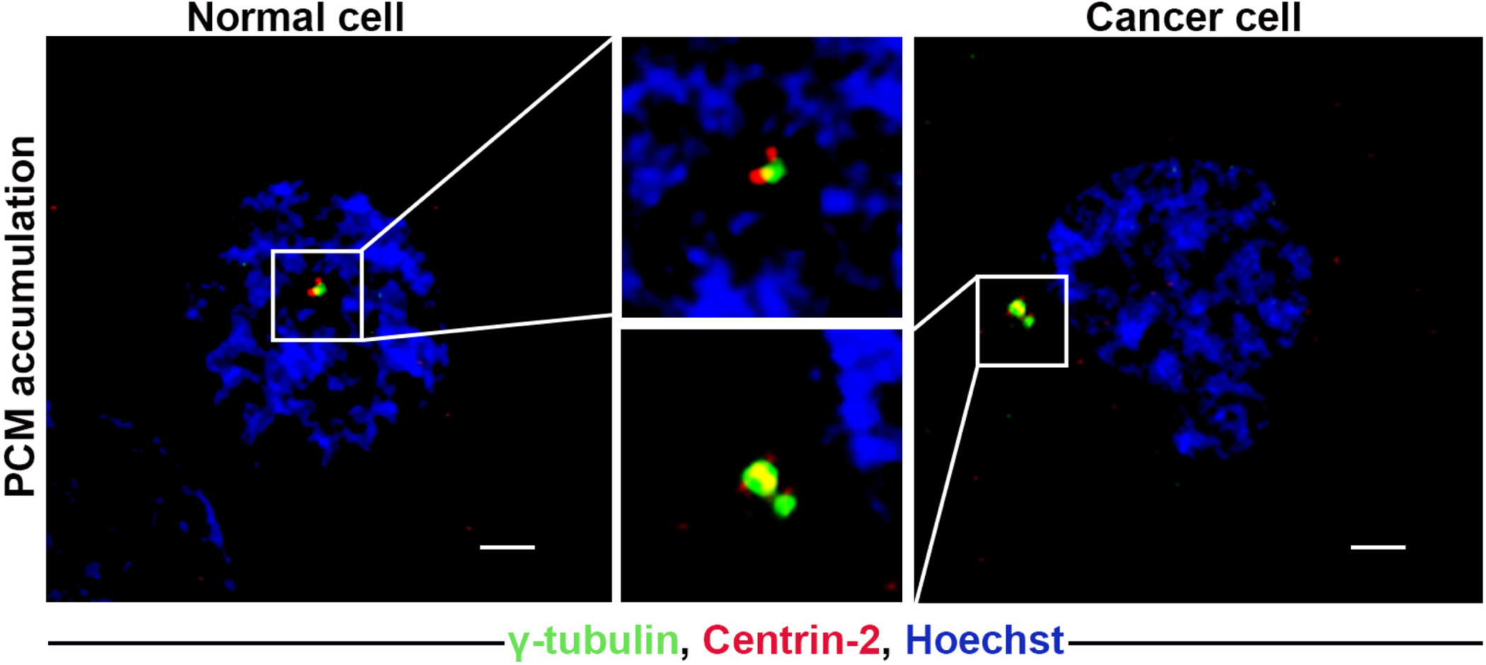 Figure 4: