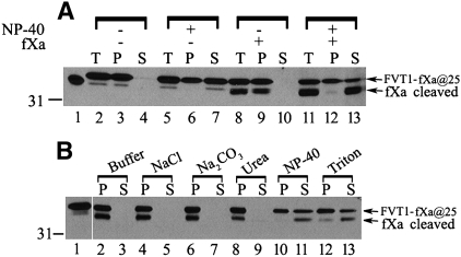 Fig. 9.