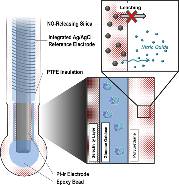 graphic file with name nihms-1051438-f0001.jpg