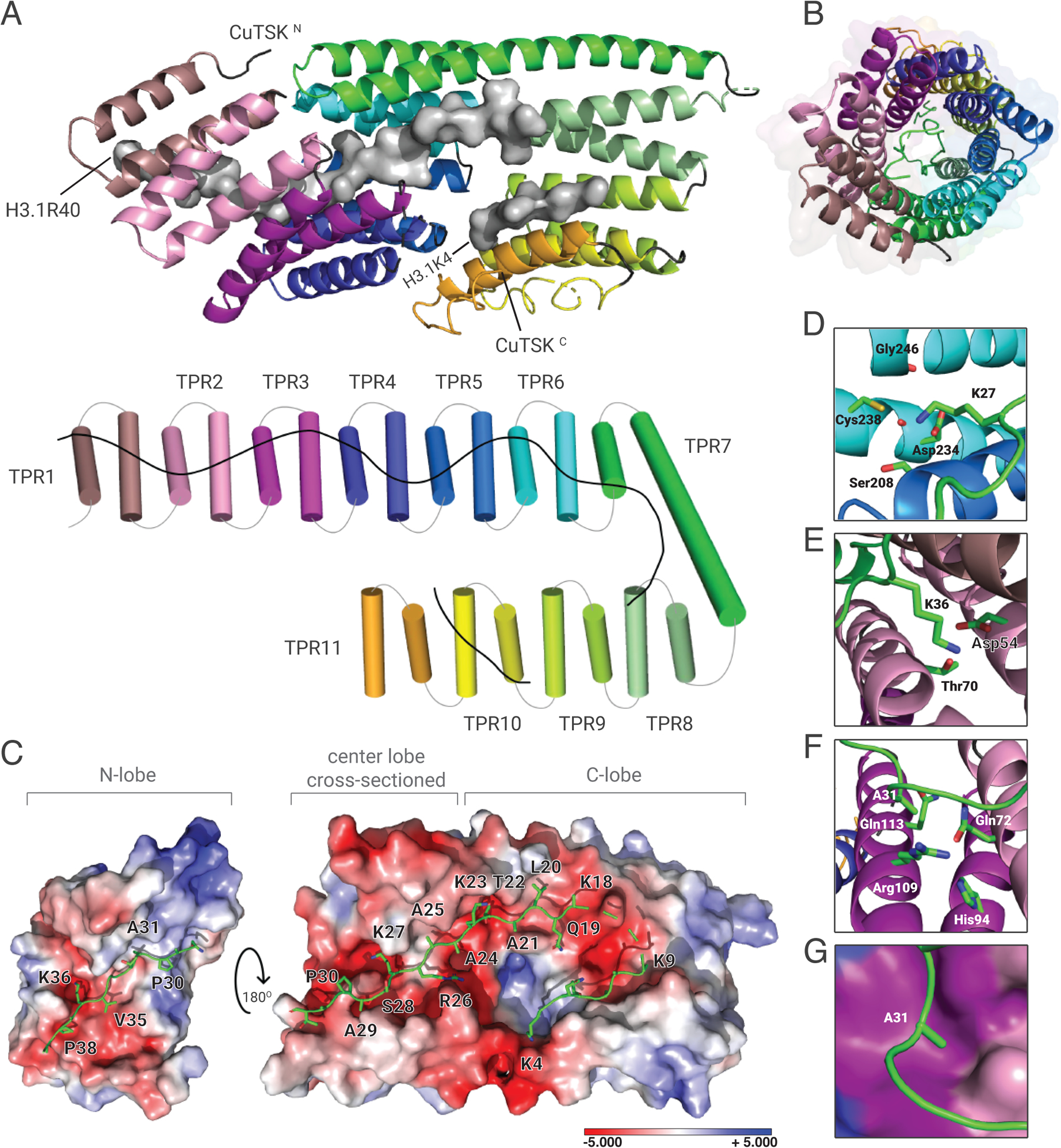 Figure 2.