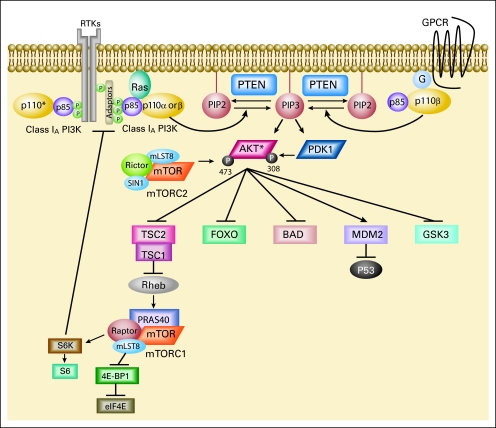 Fig 1.