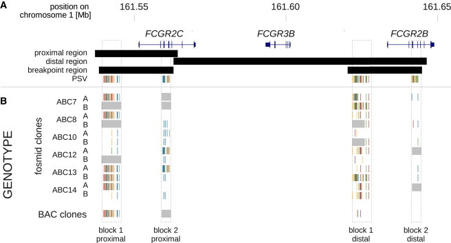 Figure 3