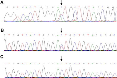 Figure 7