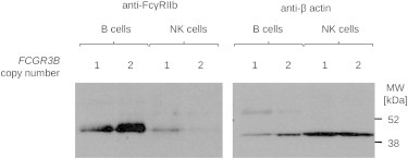 Figure 6