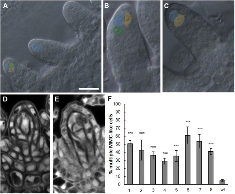 Fig. 6.