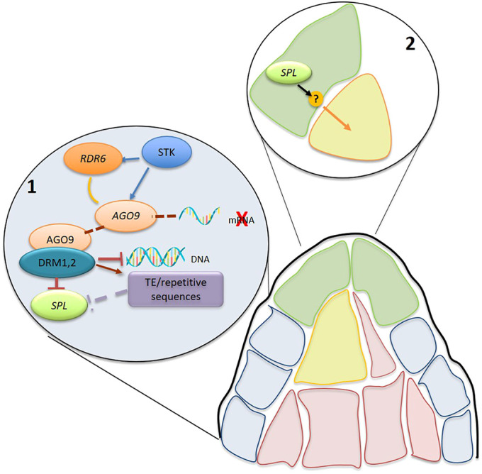 Fig. 7.