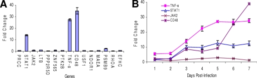 FIG. 6.