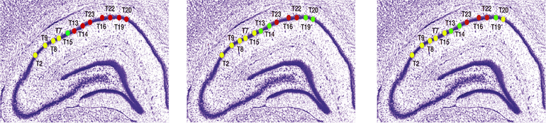 Figure 6: