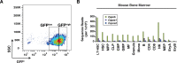 Figure 1—figure supplement 1.