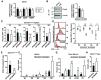 Figure 3—figure supplement 1.