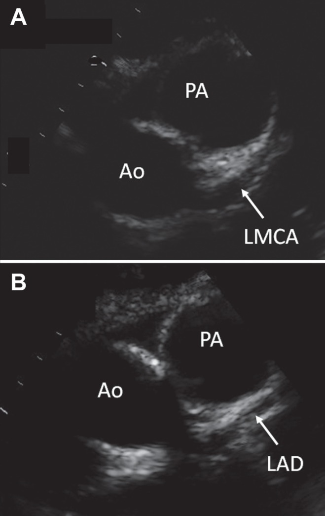 Figure 1)