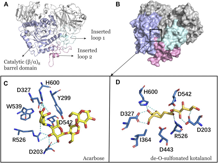 FIGURE 1