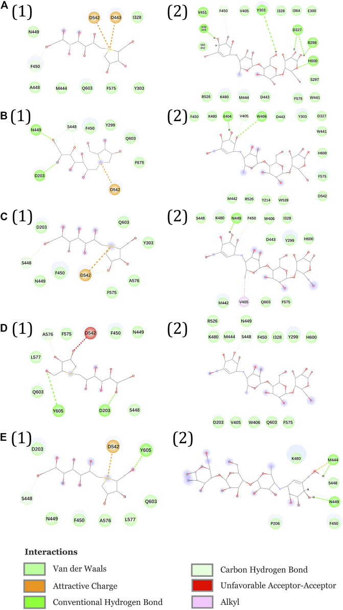 FIGURE 11