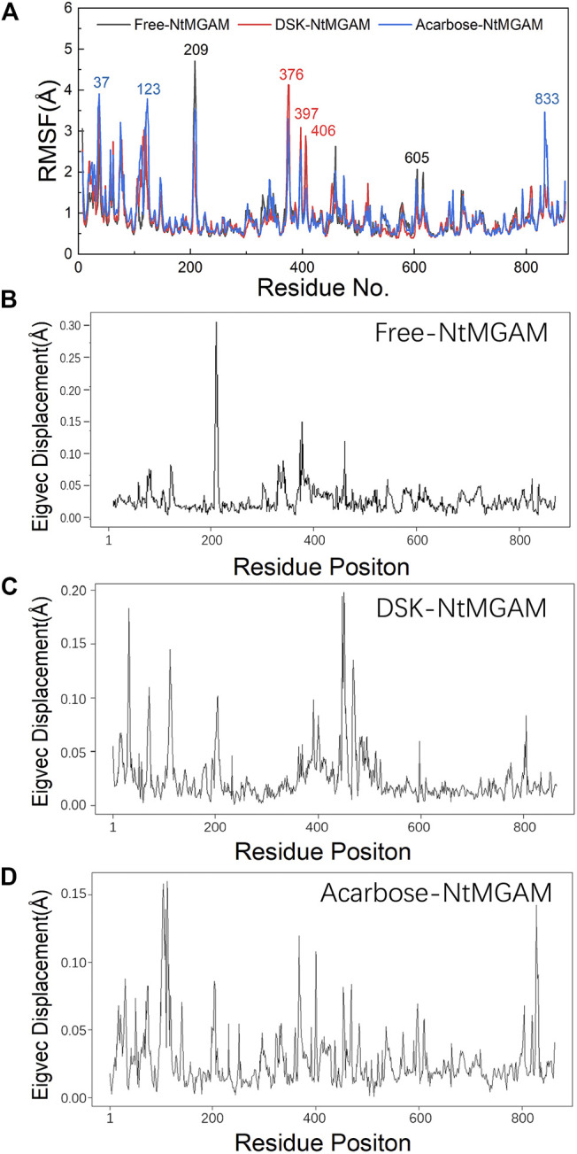 FIGURE 4