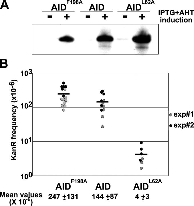 Figure 4.