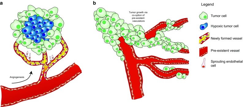 Fig. 5