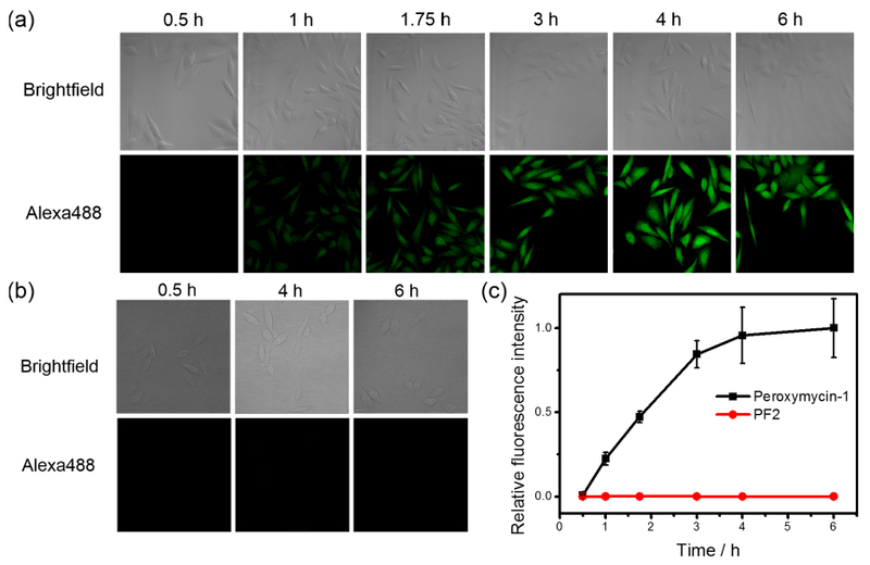 Figure 2.