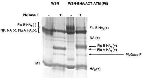 FIG. 4.