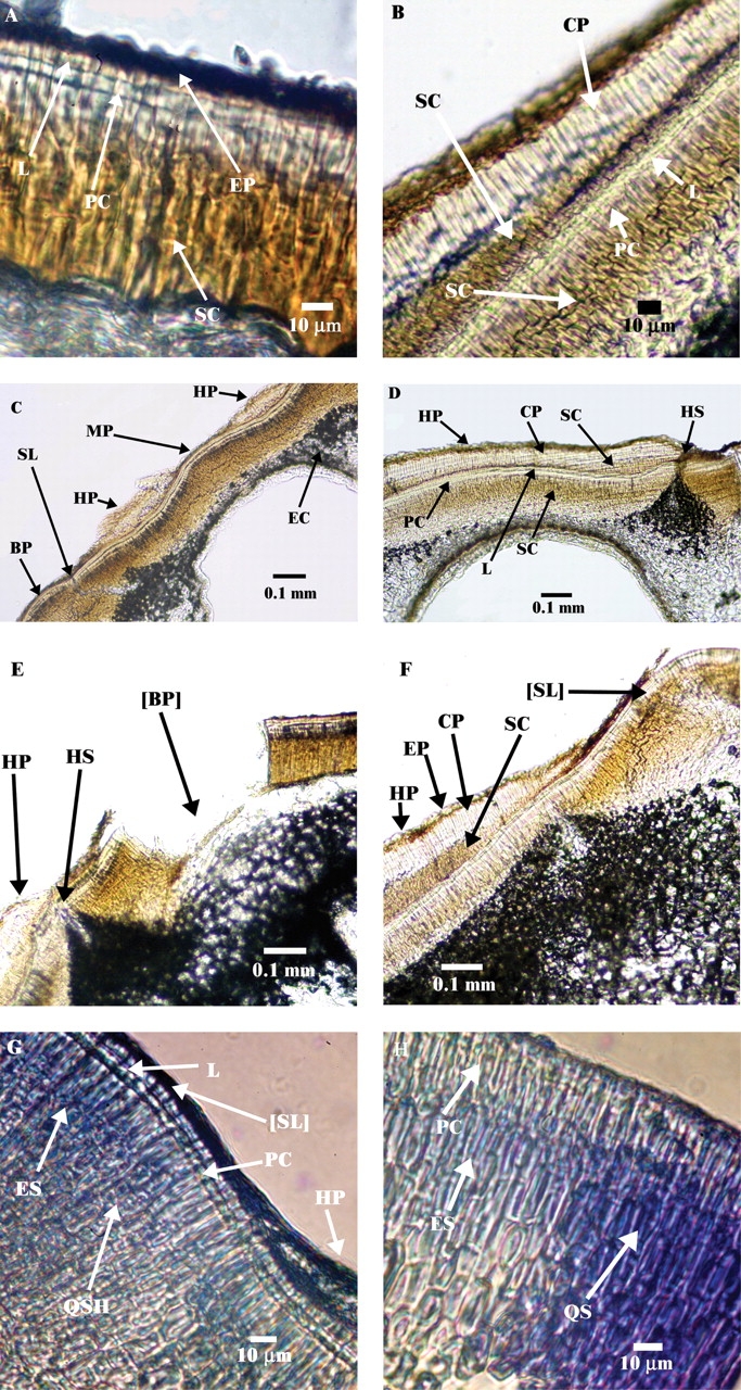 Fig. 9.