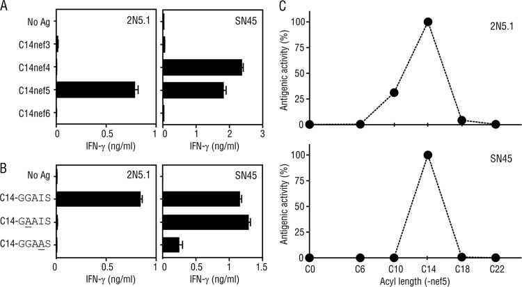 Fig 5