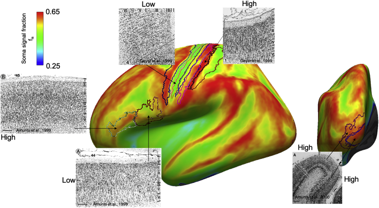 Fig. 12