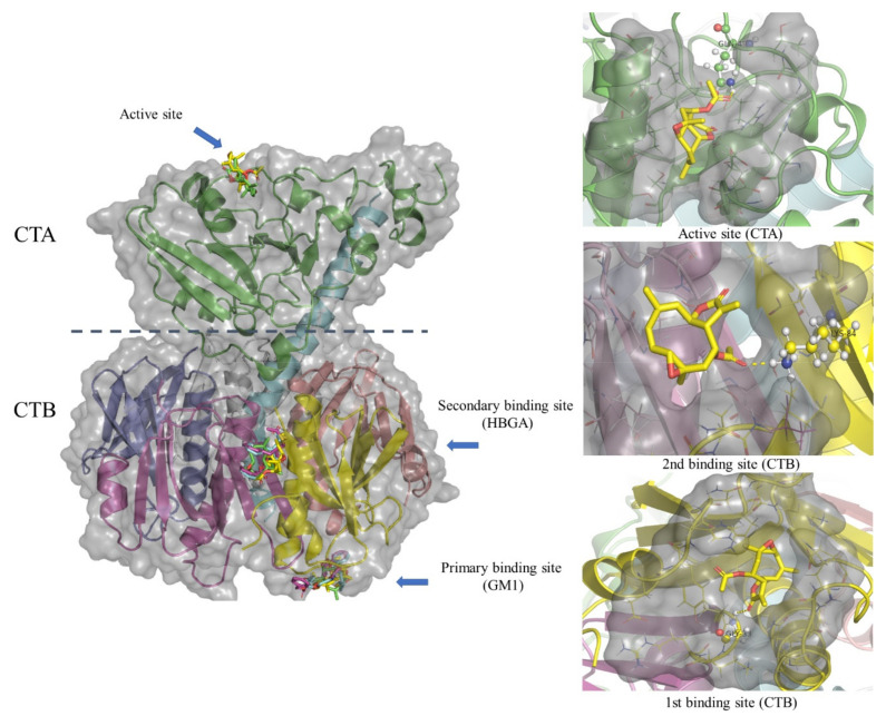 Figure 4