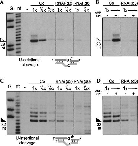 FIGURE 4.