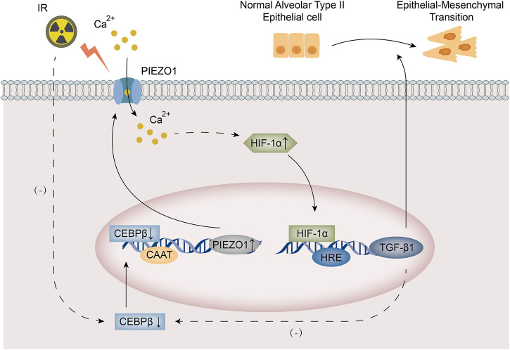 FIGURE 6