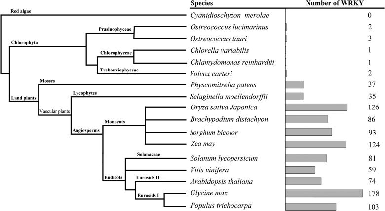 Figure 1.