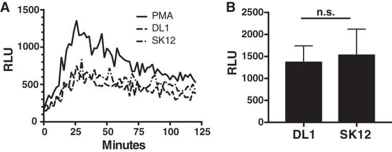 FIG 4