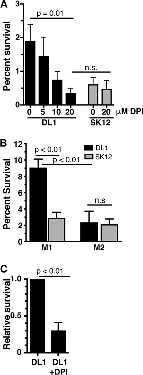 FIG 2