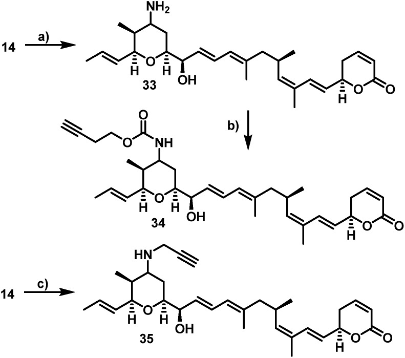 Scheme 4