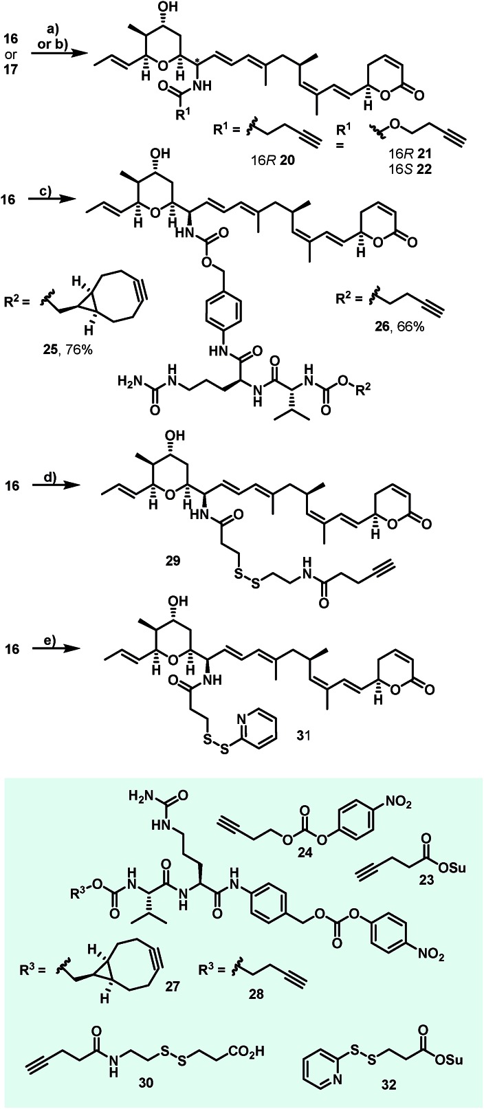 Scheme 3