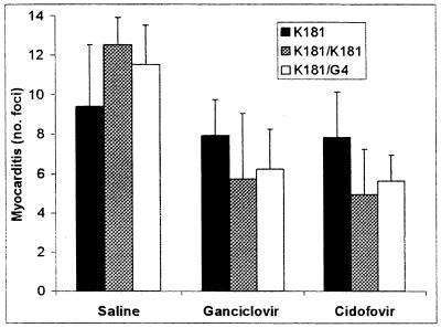 FIG. 5