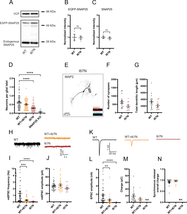 Figure 10.