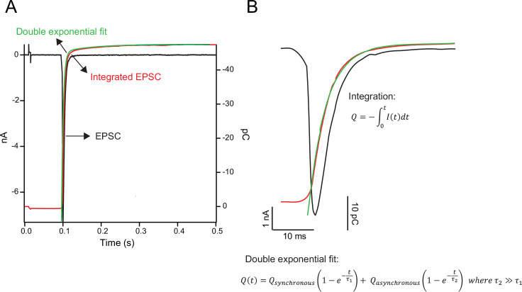 Figure 4—figure supplement 1.