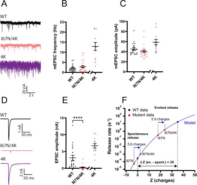 Figure 12.